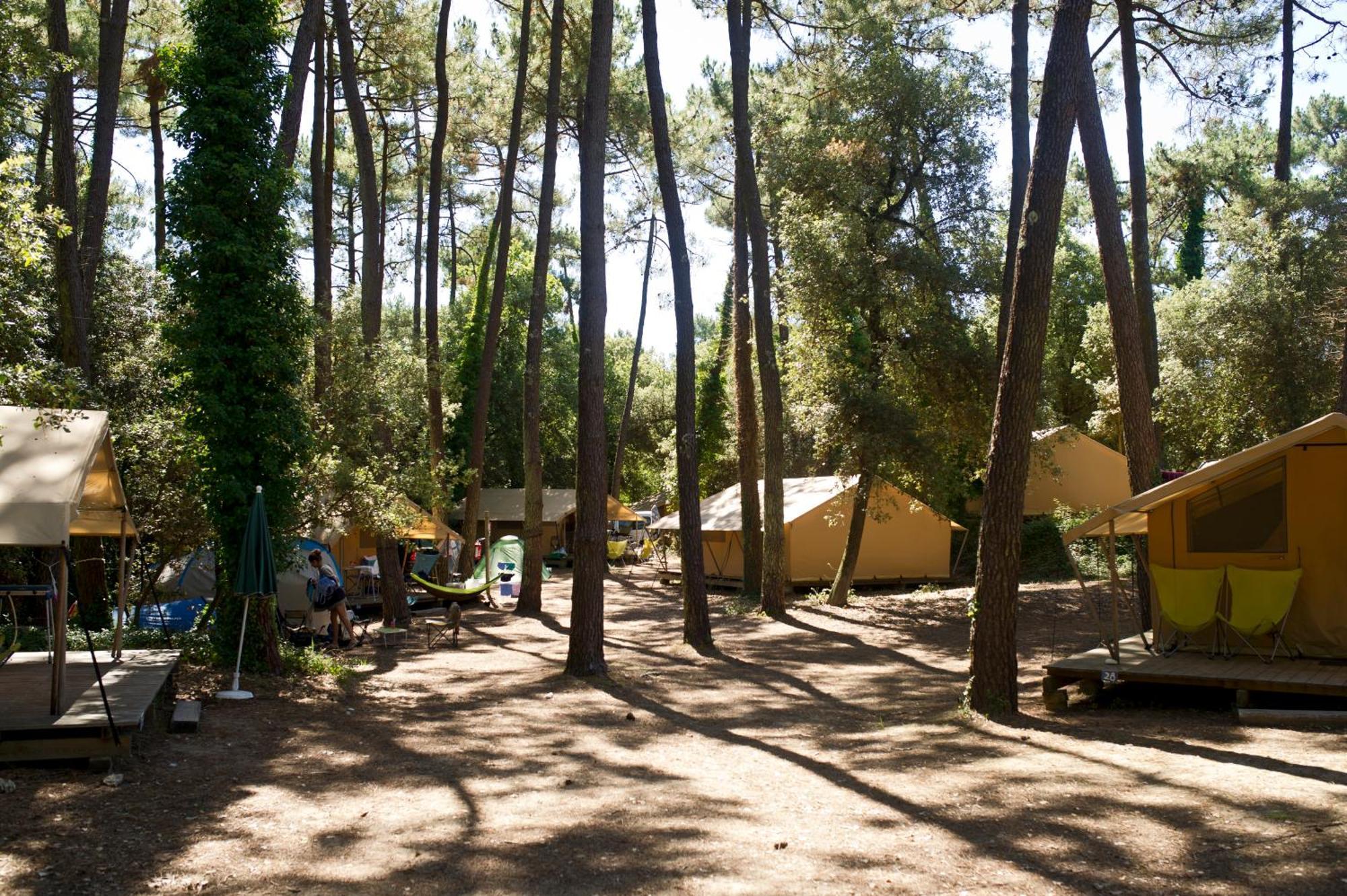 Huttopia Oleron Les Chenes Verts Dolus d'Oléron Pokoj fotografie