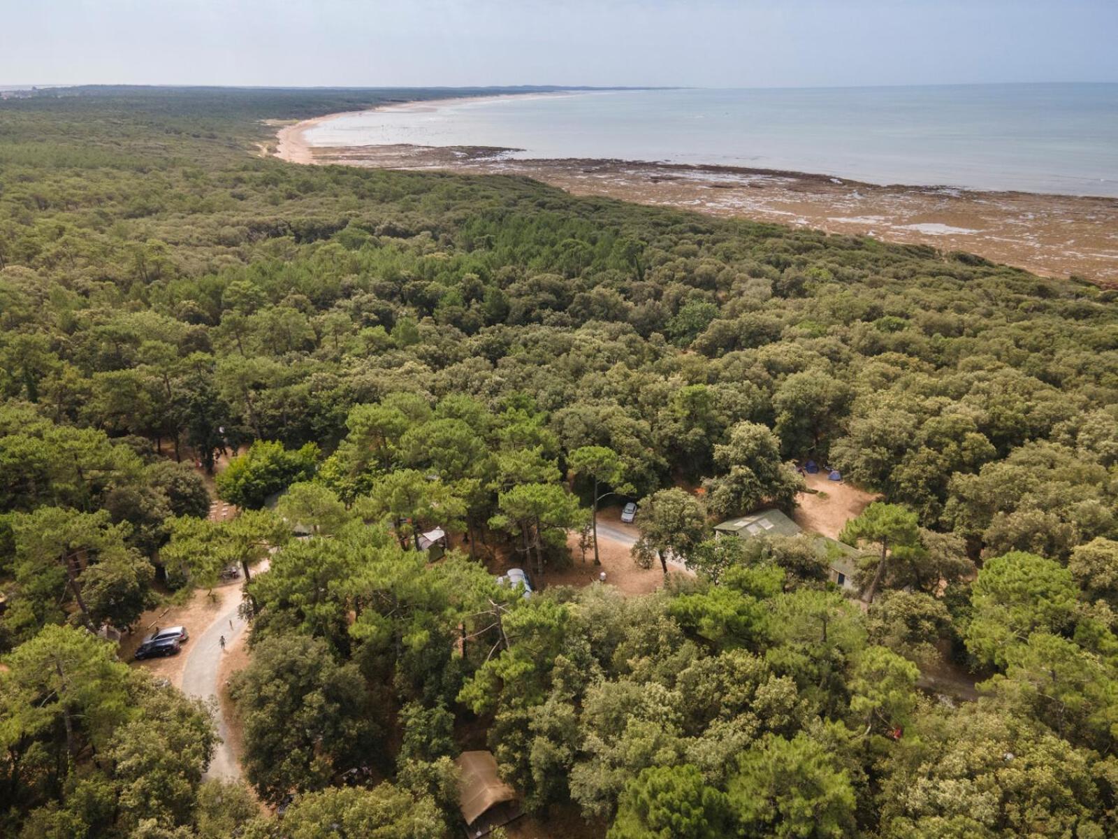 Huttopia Oleron Les Chenes Verts Dolus d'Oléron Exteriér fotografie